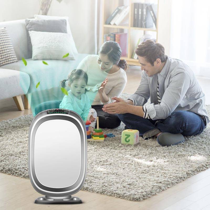 air cleaner
